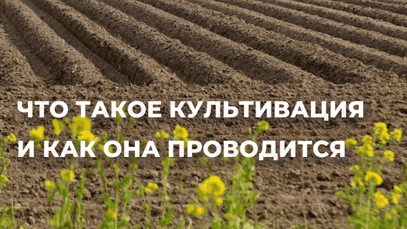 Что такое культивация и как она проводится 